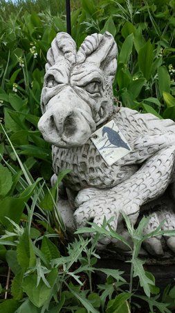 RavenWood Curio Shoppe